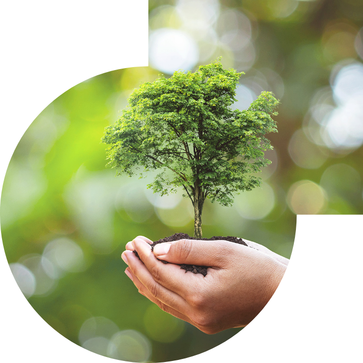 關懷人類、文化、環境與社會